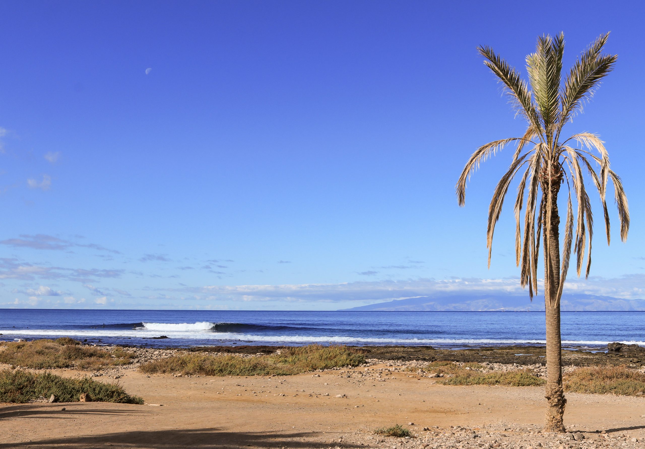 Playa las Américas Surf Spot in Tenerife